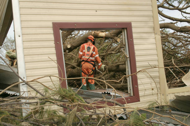 Best Root Management and Removal  in Enon, VA